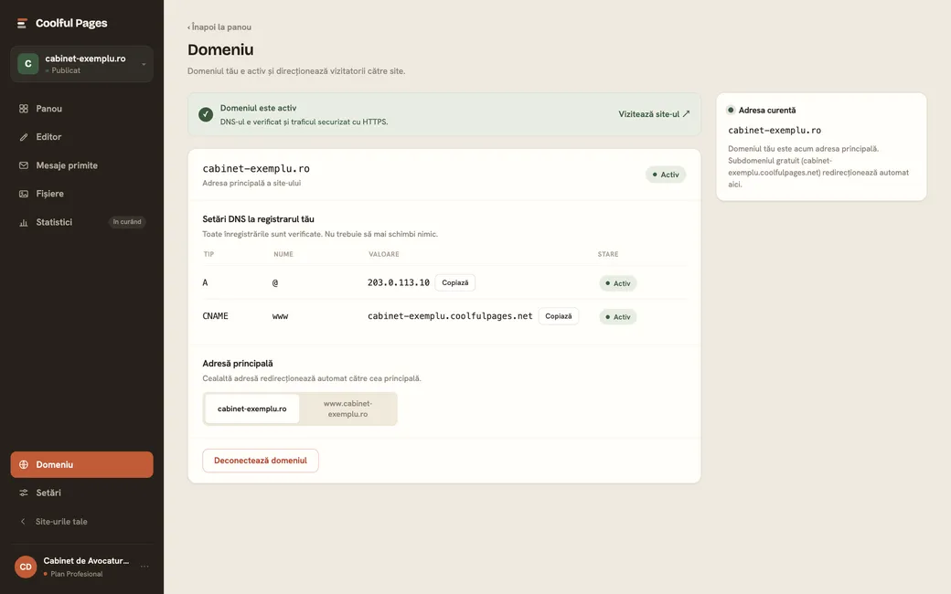 Pagina de conectare a domeniului propriu